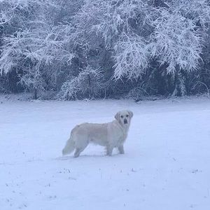 Meet your Posher, Jan